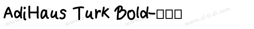 AdiHaus Turk Bold字体转换